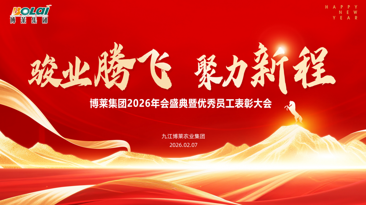 江西亚星集团2025年度总结表彰暨2026新春年会圆满举行